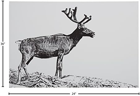 Amazon Brand - Rivet Rivet Black and White Canvas Wall Art Print of Male Deer, 36" x 24" (61 x 91 cm)