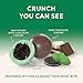 Snackathon Crisp Choco Mint Cookie Bites, 7.5 oz Resealable Snack Pack, Mint White and Dark Chocolate Covered Cookie Bite, Grocery Cookies for Parties, Snack Bag & Sharing, Made in USA
