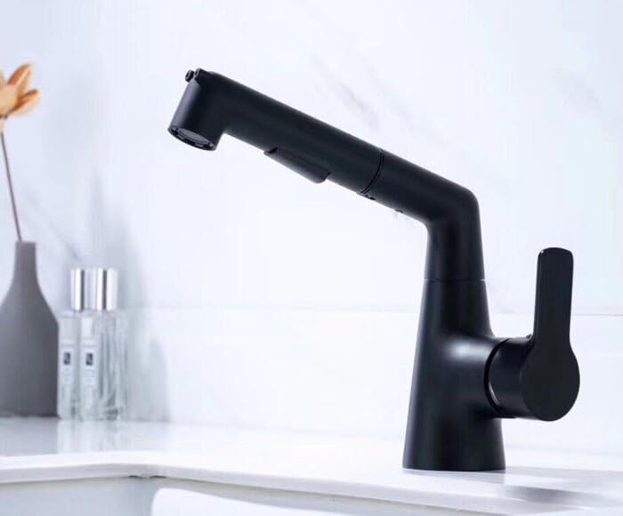 Robinet de lavabo noir en laiton avec mitigeur bidet chaud et froid BL797