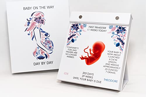 Baby On The Way - Day By Day Pregnancy Calendar, Pregnancy Guide, Pregnancy Gift, Daily Countdown Planner, Pregnancy Journal, Keepsake Journal, Pregnancy Keepsake, Pregnancy Journal, New Mom Gift #TOP3