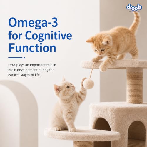 Image of Drools Kitten Dry Cat Food 1.2kg | Ocean Fish Flavour | Promotes Soft Skin & Shiny Coat | Complete Nutrition | Supports Digestion | Aids Growth Development