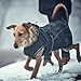 HUNTER Hundemantel UPPSALA SOFTSHELL, Farbe: schwarz, sportliches Design, wasser- und winddicht, mit weichem Fleece-Innenfutter, individuell einstellbar, reflektierend, waschbar, Größe: 35