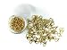 ALL in ONE 12x6mm 30g/100pcs Gold Plated Lobster Claw Clasps with 15 Gram Storage Box (Gold)