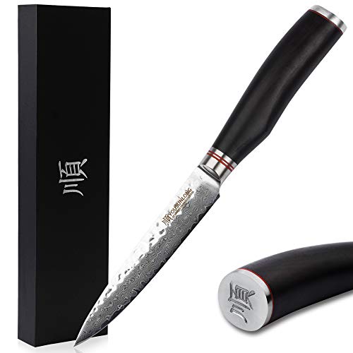 YOUSUNLONG Cuchillo de uso general de 5 pulgadas, con alto contenido de carbono, japonés, 67 capas VG-10 Damasco, acero inoxidable, navaja de afeitar, hoja pequeña, mango de ébano, SL-DK1094B Cover