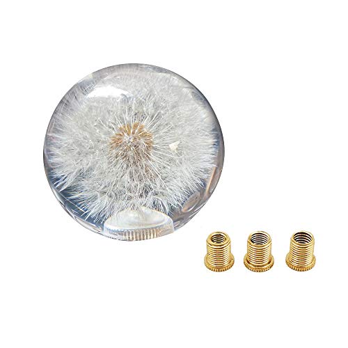 Sakali Gear Shift Knob Crystal Ball with Dandelions Flowers Car Shift Knobs Gear Shifter Knob with 3 Adapters fit for Most Manual Transmission or Automatic Transmission Without Lock Button Sakali Gear Shift Knob Crystal Ball with Dandelions Flowers Car Shift Knobs Gear Shifter Knob with 3 Adapters fit for Most Manual Transmission or Automatic Transmission Without Lock Button