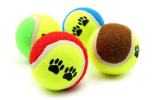 Maiitmor ybgp  ejX {[ e  ނ o[ߋ ϋv  (1, F_)