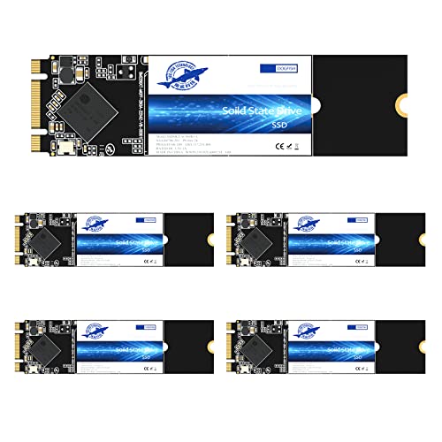 Image of Dogfish M.2 SSD 64GB SATA III 6 Gb /s, M.2 (2280mm) Internal Solid State Drive - Compatible with Desktop PC Laptop (M.2 2280, 64GB*5Pack)
