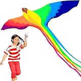 HENGDA KITE Phoenix Kite,for Kids and Adults,Easy to Fly,Excellent Fabric and Structure Design,The Pictures are Beautiful in high Definition,Suitable for Beginners(59x23) in.