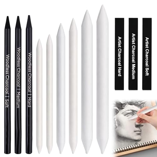 12 Piezas Set de Carboncillos para Dibujo, Difuminadores para Dibujo, Set de Lápices de Dibujo y Boceto, Lapices Carboncillo para Dibujar, para Principiantes y Artistas para Pintar y Dibujar