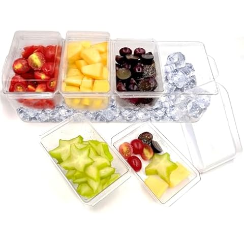 Ice Chilled Condiment Caddy with 4 Containers (2.8 cup), Condiment Server with Separate Lids, ice chilled party platter Container for Fruit,Salad, Nuts, Candy, Snack, Taco Bar Serving Set for Party Cover