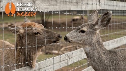 CWD and Game Farms | Week of March 9