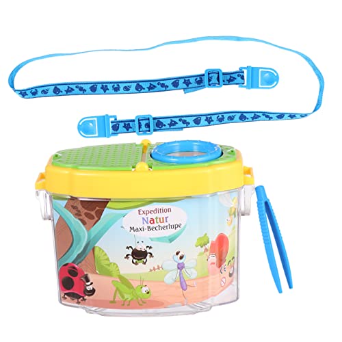 How many eyes does a butterfly have How many eyes does a butterfly have