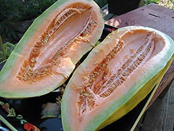 Homely Bonsai Seeds Melon, Banana Melon, Rare Heirloom, 10 Groco