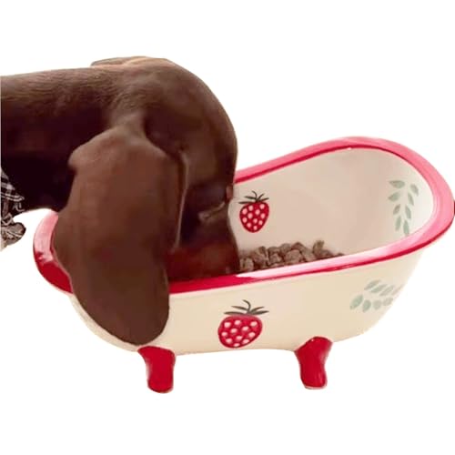 Porcelain Food Bowl for Long Ear Dog - Ceramic Small Dog Bowls Narrow Sides Ergonomic Personalized for Pointed Mouth Spaniel Kingcharles Beagle Basset Hound Dachshund Poodle (Strawberry)