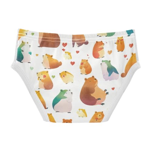 Celebrate Holiday Canada Day Beavers Elements Toddler Boys' Pure Cotton Kids Underwear Breathable Children Panties2