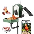 Kingsyard by Titto Solar Smart Bird Feeder with Camera, Bird Feeder Camera with AI Identify Birds Species & 2K HD Live View, Auto Capture Videos, Green (Pole Included)