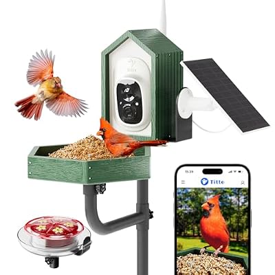 Kingsyard by Titto Solar Smart Bird Feeder with Camera, Bird Feeder Camera with AI Identify Birds Species & 2K HD Live View, Auto Capture Videos, Green (Pole Included)