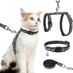 PAWCHIE Cat Harness with Leash and Collar Set – Escape Proof Adjustable Glow in The Dark Cat Harness for Kitty Outdoor Walking