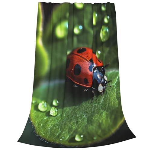 Couverture pour canapé en flanelle microfibre Little Ladybug 152x127 cm