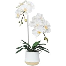 CXGS Orchids Artificial Flowers Realistic Fake Flowers in Ceramic Pot 20" White Lifelike Faux Floral Arrangement Soft PU Phalaenopsis for Home Hotel Indoor Decor, Centerpiece Display