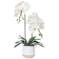 White- White Gold Vase