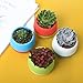 DeElf 15 Pack Small Succulent Pots 3 Inch Plastic Mini Planters with Drainage for Window Wall, Bulk