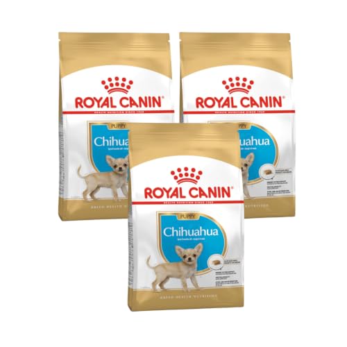 Chihuahua Puppy | Trockenfutter für Welpen | 3 x 500 g | Bis zum 8. Monat