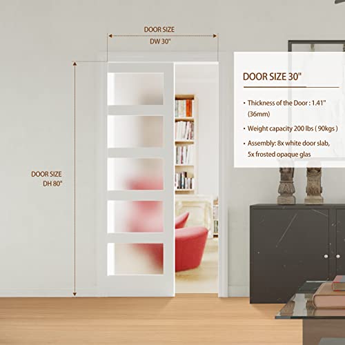 Solrig Sliding Pocket Door 30" X 80" - 5 Lites Tempered Frosted Glass Panels, Interior & Closet Single Door Slab, White Primed - Panel Assembly (Needed Without Hardware Kit #TOP3