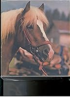 Der Haflinger Das Freizeitpferd Aus Den Bergen Tirols B000OMKBTO Book Cover