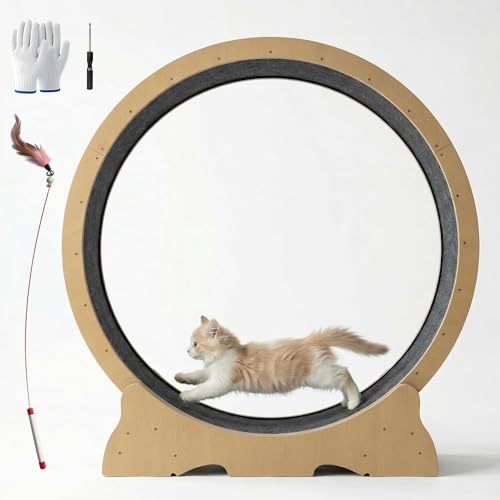 POLAHAKU Cat Exercise Wheel, 48 Inch Diameter Cat Treadmill for