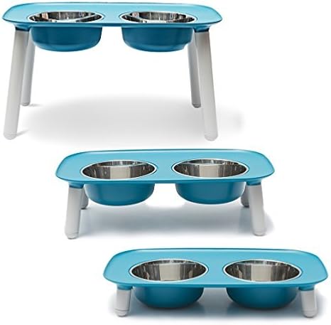 double bowl elevated feeder