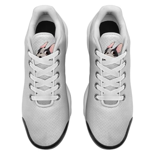 [DOFEMA]  pO  Aj ^C Xj[J[ jOV[Y X|[cV[Y y ʋC JWA ₷  lC AEghA EH[LO ʋ ʊw s 풅p jp