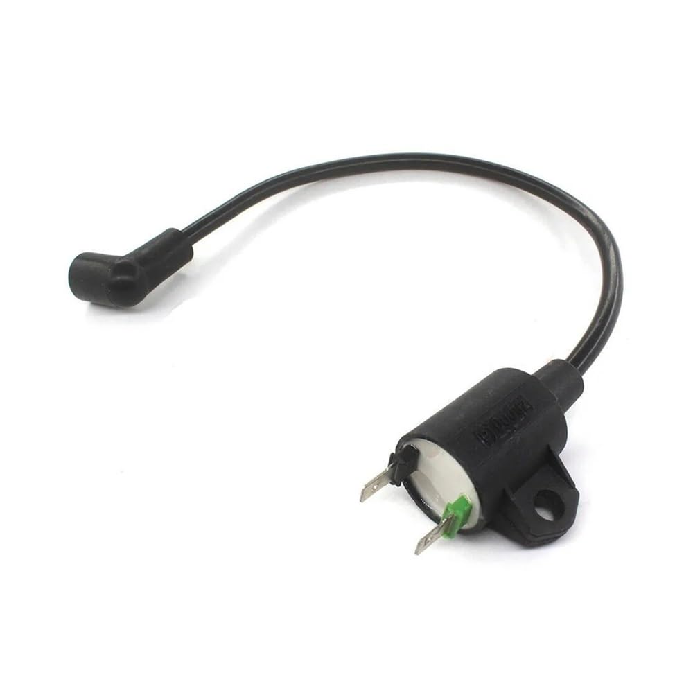 Bobine d'allumage 69381 haute tension pour moteur thermique 63CC 2HP
