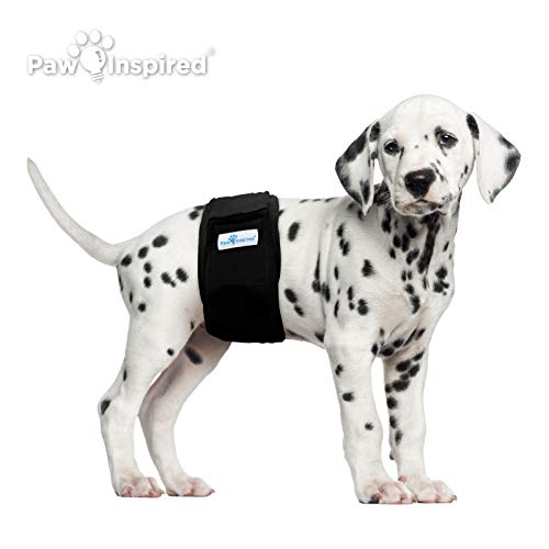 Paw Inspired Belly Band Male Dog WRAP Washable, Black, Black Lining, Small, 3 Count by Paw Inspired - Image 3