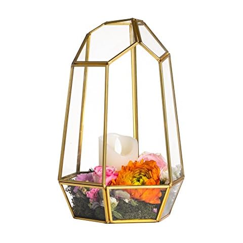 NCYP 9.8inches Gold Geometric Terrarium Glass Planter Cover