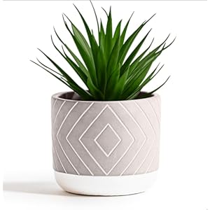 Kurrajong Farmhouse Desk Plant | 8″ Small Artificial Plants in Pots | Handmade Cement Pot with Small Fake Plant | Decorative Plants for Office, Bathroom, Shelf Decor | Faux Plant Indoor
