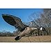 Higdon Outdoors Clone | Canada Goose Flapping Motion Decoy with Adjustable Wing Speed | Ultra Realistic Goose Decoy for Waterfowl Hunting | Includes Carry Bag, Stand, Power Cord & Remote