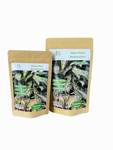 BioNurture House Plant Biostimulant, 100% Natural Fertiliser. Indoor House Plant Food for Growing Vibrant and Healthy Plants (100g)