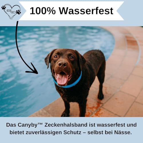 CANYBY Zecken- & Flohhalsband für Katzen und Hunde – Natürlicher Schutz bis zu 8 Monate – Wasserdicht, Verstellbar & mit 100% natürlichen Inhaltsstoffen