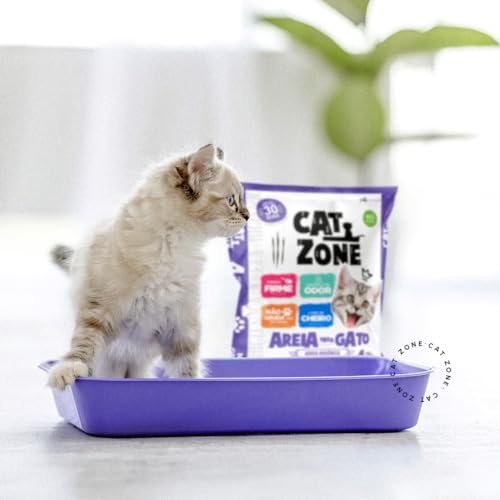 CAT ZONE Areia Para Gato 4 Kg Cinza