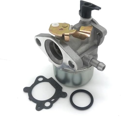 Carburateur pour Briggs Stratton Quantum anti calage moteur thermique