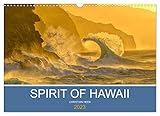 SPIRIT OF HAWAII (Wandkalender 2023 DIN A3 quer), Calvendo Monatskalender