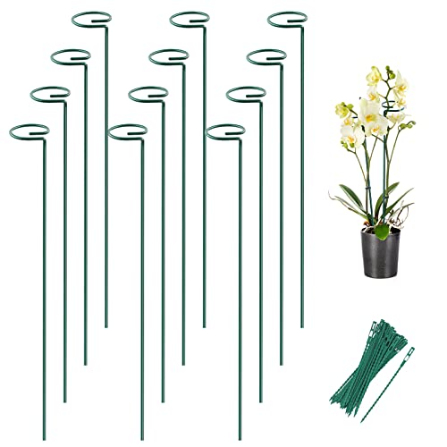 Joyhalo 12 Pack Plant Support Stakes 24 Inch, Plant Stakes, Flower Stakes with 24 Twist Ties, Garden...