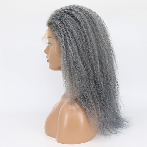 zigzag hair Afro Curly Human Hair Wig Grey 13x6 Lace Front Wigs Human Hair for Black Women Ash Curly Afro Wig Pre Plucked Hairline 150% Density with Baby Hair (14 Inch, Grey)