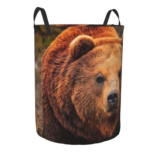 Panier à linge haut imprimé ours, bac rangement couverture - 3