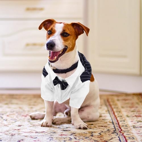 Traje de boda para perro POPETPOP talla L color navy miniatura 2