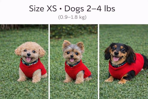 Image of JACKO & CO - Fleece Vest Dog Sweater with Leash Ring - Soft, Warm & Lightweight Pullover Coat for Small & Medium Dogs, Puppies & Cats - Cozy Fall /Winter /Spring Pet Jacket (Red, X-Small 2-4lbs)