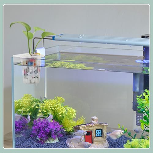 Image of WishLotus 2Pcs Aquarium Plant Holder, Hollow Design Hanging Aquarium Planter Cups with Hook, Aquarium Plant Baskets for Fish Tank Aquarium Hydroponics & Aquatic Plant (Transparent)