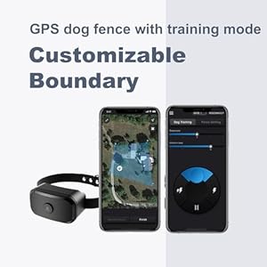 Gf02 plus  customizable gps dog fence with remote training no subscription required set up boundary in 1 minute with app waterproof gps dog collar system long battery life   cucciolini doodles