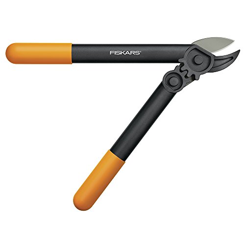 Fiskars 12 Foot Extendable Pole Saw & Pruner, Orange (393951-1001) & Powergear 15" Super Pruner/Lopper - Steel Blade Garden Lopper And Tree Pruner #TOP6